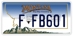 FFB601  license plate in MT