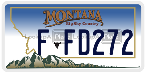 FFD272  license plate in MT