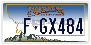 FGX484  license plate in MT
