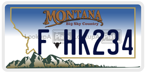FHK234  license plate in MT