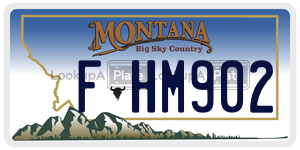 FHM902  license plate in MT