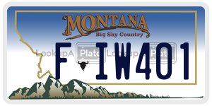 FIW401  license plate in MT