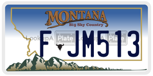 FJM513  license plate in MT
