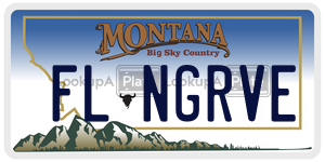 FLNGRVE  license plate in MT