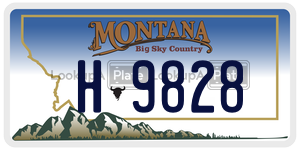 H9828  license plate in MT