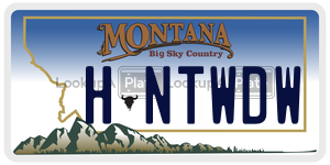 HNTWDW  license plate in MT