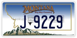 J9229  license plate in MT