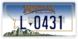 L0431  license plate in MT