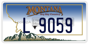 L9059  license plate in MT