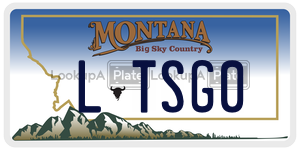LTSG0  license plate in MT