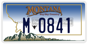 M0841  license plate in MT