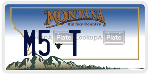 M5T license plate in Montana