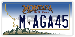 MAGA45  license plate in MT