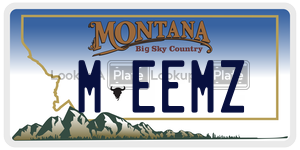 MEEMZ  license plate in MT