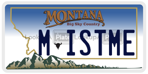 MISTME  license plate in MT