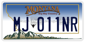 MJ011NR  license plate in MT