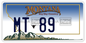 MT89  license plate in MT