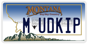 MUDKIP  license plate in MT