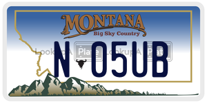 N05UB license plate in Montana