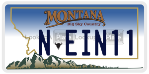 NEIN11  license plate in MT