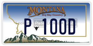 P100D  license plate in MT