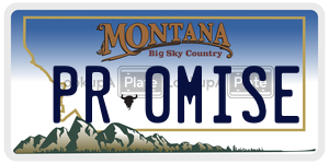 PR0MISE  license plate in MT