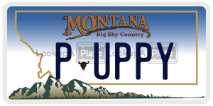 PUPPY  license plate in MT