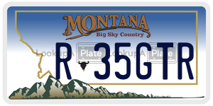 R35GTR  license plate in MT