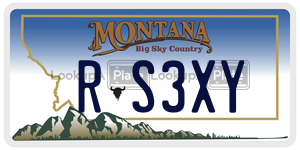 RS3XY  license plate in MT