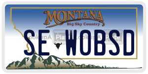 SEW0BSD  license plate in MT