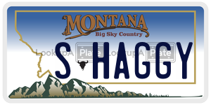 SHAGGY  license plate in MT