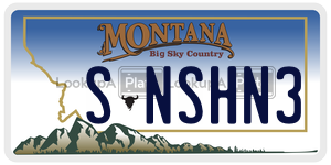 SNSHN3  license plate in MT