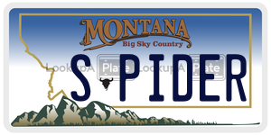 SPIDER  license plate in MT