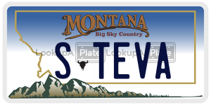STEVA  license plate in MT