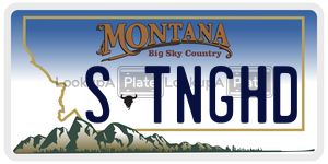 STNGHD  license plate in MT