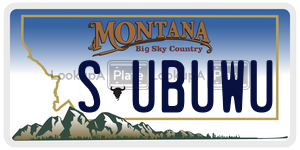 SUBUWU license plate in Montana