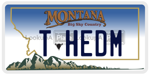 THEDM  license plate in MT