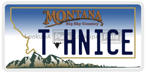 THNICE  license plate in MT