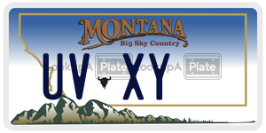 UVXY  license plate in MT
