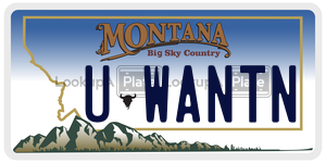 UWANTN  license plate in MT