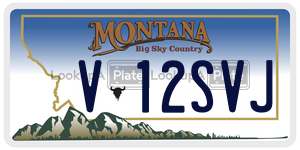 V12SVJ  license plate in MT
