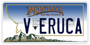 VERUCA  license plate in MT