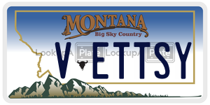 VETTSY  license plate in MT