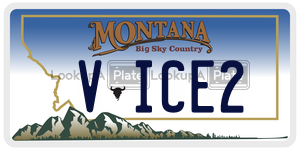 VICE2  license plate in MT