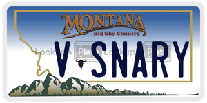 VSNARY  license plate in MT