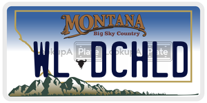WLDCHLD  license plate in MT