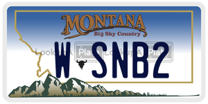WSNB2  license plate in MT