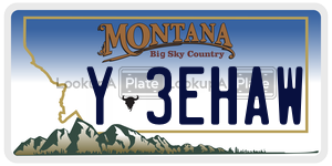 Y3EHAW  license plate in MT