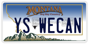 YSWECAN  license plate in MT
