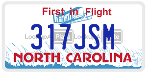 317JSM license plate in North Carolina